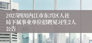 2025四川内江市东兴区人社局下属事业单位招聘见习生2人公告
