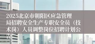 2025北京市朝阳区应急管理局招聘安全生产专职安全员(技术岗)人员调整岗位招聘计划公告