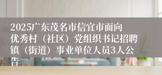 2025广东茂名市信宜市面向优秀村(社区)党组织书记招聘镇(街道)事业单位人员3人公告