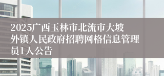 2025广西玉林市北流市大坡外镇人民政府招聘网格信息管理员1人公告
