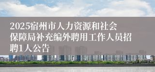 2025宿州市人力资源和社会保障局补充编外聘用工作人员招聘1人公告