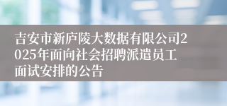吉安市新庐陵大数据有限公司2025年面向社会招聘派遣员工面试安排的公告