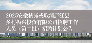 2025安徽核减或取消庐江县乡村振兴投资有限公司招聘工作人员（第二批）招聘计划公告