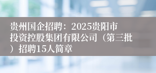 贵州国企招聘:2025贵阳市投资控股集团有限公司(第三批)招聘15人简章
