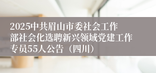 2025中共眉山市委社会工作部社会化选聘新兴领域党建工作专员55人公告（四川）