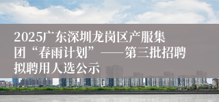 2025广东深圳龙岗区产服集团“春雨计划”――第三批招聘拟聘用人选公示