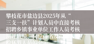 攀枝花市盐边县2025年从“三支一扶”计划人员中直接考核招聘乡镇事业单位工作人员考核测评成绩、岗位排名及拟进入体检环节人员的公示