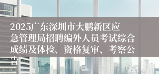 2025广东深圳市大鹏新区应急管理局招聘编外人员考试综合成绩及体检、资格复审、考察公告