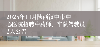 2025年11月陕西汉中市中心医院招聘中药师、车队驾驶员2人公告
