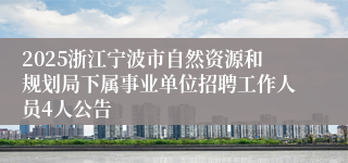 2025浙江宁波市自然资源和规划局下属事业单位招聘工作人员4人公告