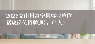 2026文山州富宁县事业单位紧缺岗位招聘通告（4人）