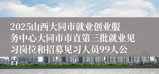 2025山西大同市就业创业服务中心大同市市直第三批就业见习岗位和招募见习人员99人公告