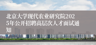 北京大学现代农业研究院2025年公开招聘高层次人才面试通知