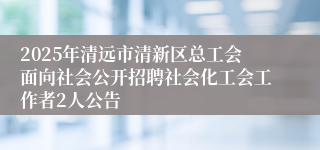 2025年清远市清新区总工会面向社会公开招聘社会化工会工作者2人公告