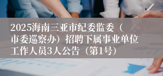 2025海南三亚市纪委监委(市委巡察办)招聘下属事业单位工作人员3人公告(第1号)