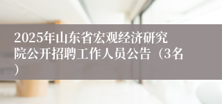2025年山东省宏观经济研究院公开招聘工作人员公告(3名)