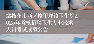 攀枝花市西区格里坪镇卫生院2025年考核招聘卫生专业技术人员考试成绩公告