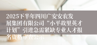 2025下半年四川广安安农发展集团有限公司“小平故里英才计划”引进急需紧缺专业人才报名资格审查公示