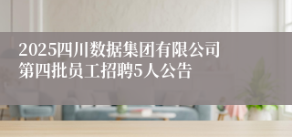 2025四川数据集团有限公司第四批员工招聘5人公告