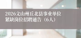 2026文山州丘北县事业单位紧缺岗位招聘通告（6人）