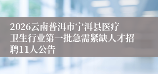 2026云南普洱市宁洱县医疗卫生行业第一批急需紧缺人才招聘11人公告