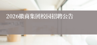 2026徽商集团校园招聘公告