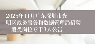 2025年11月广东深圳市光明区政务服务和数据管理局招聘一般类岗位专干3人公告