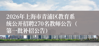 2026年上海市青浦区教育系统公开招聘270名教师公告（第一批补招公告）