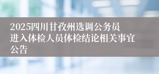 2025四川甘孜州选调公务员进入体检人员体检结论相关事宜公告