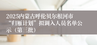 2025内蒙古呼伦贝尔根河市“归雁计划”拟调入人员名单公示(第三批)