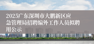 2025广东深圳市大鹏新区应急管理局招聘编外工作人员拟聘用公示