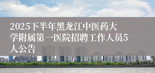 2025下半年黑龙江中医药大学附属第一医院招聘工作人员5人公告