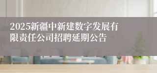2025新疆中新建数字发展有限责任公司招聘延期公告