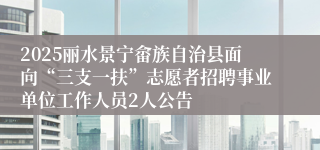 2025丽水景宁畲族自治县面向“三支一扶”志愿者招聘事业单位工作人员2人公告