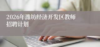2026年潍坊经济开发区教师招聘计划