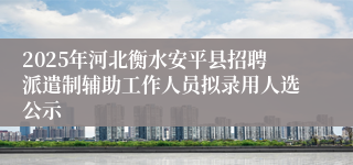 2025年河北衡水安平县招聘派遣制辅助工作人员拟录用人选公示