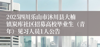 2025四川乐山市沐川县大楠镇炭库社区招募高校毕业生（青年）见习人员1人公告
