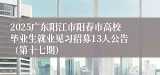 2025广东阳江市阳春市高校毕业生就业见习招募13人公告（第十七期）