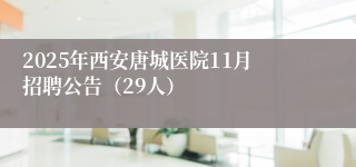 2025年西安唐城医院11月招聘公告(29人)
