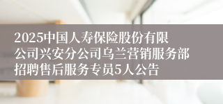 2025中国人寿保险股份有限公司兴安分公司乌兰营销服务部招聘售后服务专员5人公告