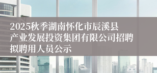 2025秋季湖南怀化市辰溪县产业发展投资集团有限公司招聘拟聘用人员公示