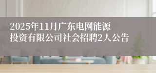 2025年11月广东电网能源投资有限公司社会招聘2人公告
