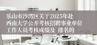 乐山市沙湾区关于2025年赴西南大学公开考核招聘事业单位工作人员考核成绩及 排名的公告