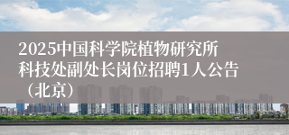 2025中国科学院植物研究所科技处副处长岗位招聘1人公告（北京）