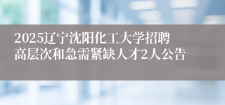 2025辽宁沈阳化工大学招聘高层次和急需紧缺人才2人公告