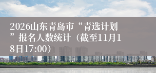 2026山东青岛市“青选计划”报名人数统计(截至11月18日17:00)