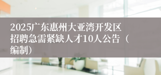 2025广东惠州大亚湾开发区招聘急需紧缺人才10人公告(编制)