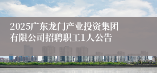 2025广东龙门产业投资集团有限公司招聘职工1人公告