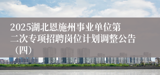 2025湖北恩施州事业单位第二次专项招聘岗位计划调整公告(四)