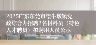 2025广东东莞市望牛墩镇党政综合办招聘2名材料员（特色人才聘员）拟聘用人员公示